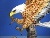 Eagle Image: Color Low