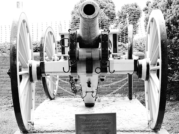 High Contrast Monochrome Setting