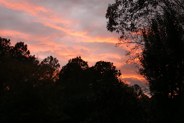 Sunset Setting