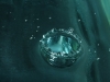 Crown Shape from Single Water Drop
